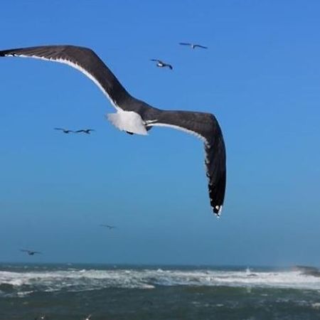 Villa L'Oiseau Bleu Essaouira Bagian luar foto